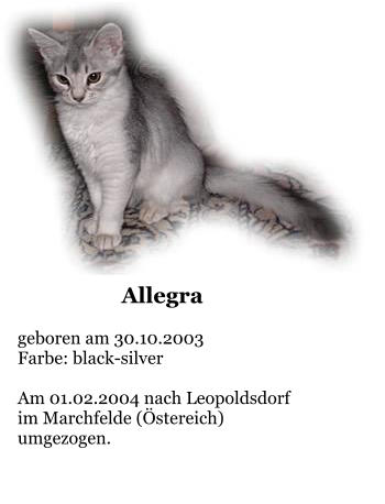 Allegra  geboren am 30.10.2003 Farbe: black-silver  Am 01.02.2004 nach Leopoldsdorf im Marchfelde (Östereich) umgezogen.