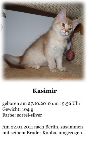 Kasimir  geboren am 27.10.2010 um 19:56 Uhr Gewicht: 104 g Farbe: sorrel-silver  Am 22.01.2011 nach Berlin, zusammen mit seinem Bruder Kimba, umgezogen.