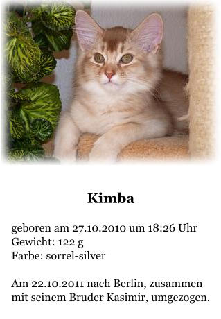 Kimba  geboren am 27.10.2010 um 18:26 Uhr Gewicht: 122 g Farbe: sorrel-silver  Am 22.10.2011 nach Berlin, zusammen mit seinem Bruder Kasimir, umgezogen.