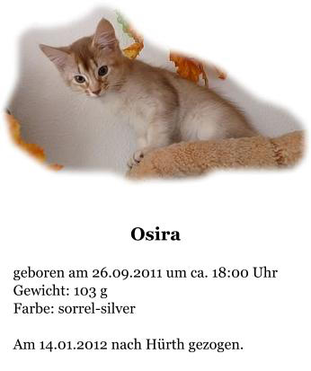 Osira  geboren am 26.09.2011 um ca. 18:00 Uhr Gewicht: 103 g Farbe: sorrel-silver  Am 14.01.2012 nach Hürth gezogen.