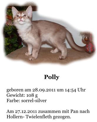 Polly  geboren am 28.09.2011 um 14:54 Uhr Gewicht: 108 g Farbe: sorrel-silver  Am 27.12.2011 zusammen mit Pan nach Hollern- Twielenfleth gezogen.