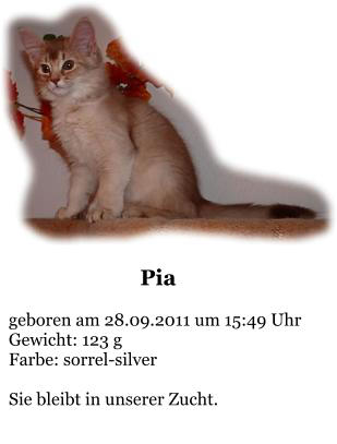 Pia  geboren am 28.09.2011 um 15:49 Uhr Gewicht: 123 g Farbe: sorrel-silver  Sie bleibt in unserer Zucht.
