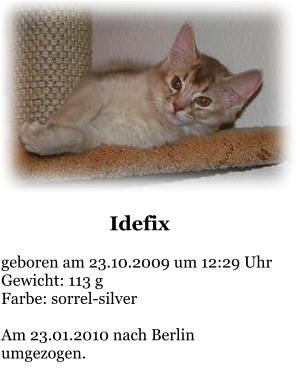 Idefix  geboren am 23.10.2009 um 12:29 Uhr Gewicht: 113 g Farbe: sorrel-silver  Am 23.01.2010 nach Berlin umgezogen.