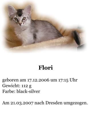 Flori  geboren am 17.12.2006 um 17:15 Uhr Gewicht: 112 g Farbe: black-silver  Am 21.03.2007 nach Dresden umgezogen.