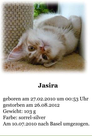 Jasira  geboren am 27.02.2010 um 00:53 Uhr gestorben am 26.08.2012 Gewicht: 103 g Farbe: sorrel-silver Am 10.07.2010 nach Basel umgezogen.