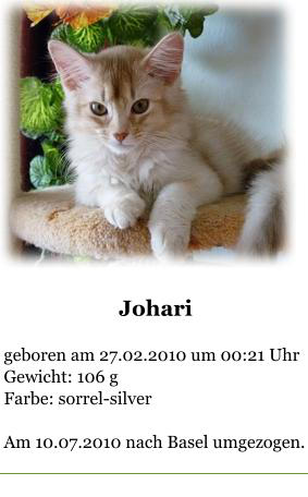 Johari  geboren am 27.02.2010 um 00:21 Uhr Gewicht: 106 g Farbe: sorrel-silver  Am 10.07.2010 nach Basel umgezogen.