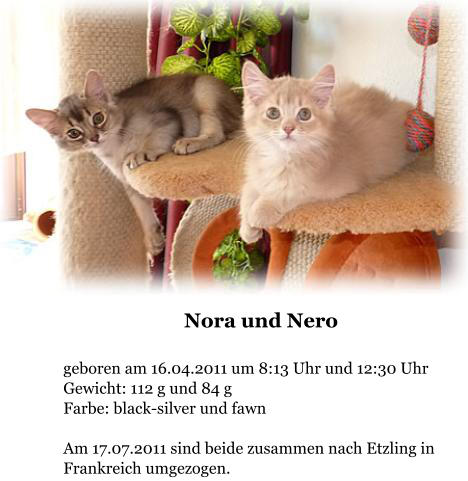Nora und Nero  geboren am 16.04.2011 um 8:13 Uhr und 12:30 Uhr Gewicht: 112 g und 84 g Farbe: black-silver und fawn   Am 17.07.2011 sind beide zusammen nach Etzling in Frankreich umgezogen.