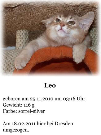 Leo  geboren am 25.11.2010 um 03:16 Uhr Gewicht: 116 g Farbe: sorrel-silver  Am 18.02.2011 hier bei Dresden umgezogen.