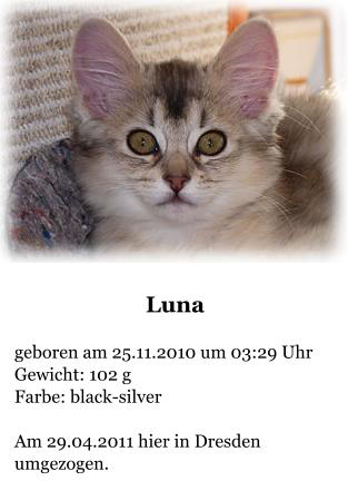 Luna  geboren am 25.11.2010 um 03:29 Uhr Gewicht: 102 g Farbe: black-silver  Am 29.04.2011 hier in Dresden umgezogen.