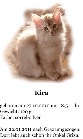 Kira  geboren am 27.10.2010 um 18:51 Uhr Gewicht: 120 g Farbe: sorrel-silver  Am 22.01.2011 nach Graz umgezogen. Dort lebt auch schon ihr Onkel Grizu.