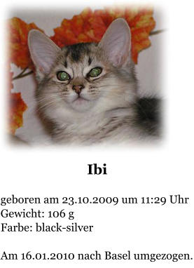 Ibi  geboren am 23.10.2009 um 11:29 Uhr Gewicht: 106 g Farbe: black-silver  Am 16.01.2010 nach Basel umgezogen.