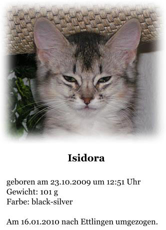 Isidora  geboren am 23.10.2009 um 12:51 Uhr Gewicht: 101 g Farbe: black-silver  Am 16.01.2010 nach Ettlingen umgezogen.