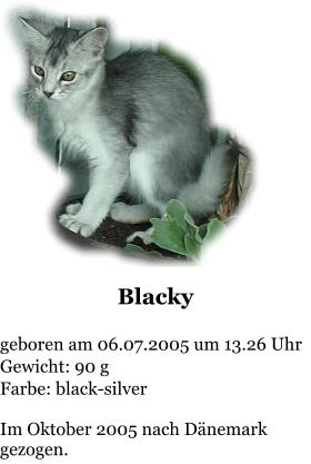Blacky   geboren am 06.07.2005 um 13.26 Uhr Gewicht: 90 g Farbe: black-silver  Im Oktober 2005 nach Dänemark gezogen.
