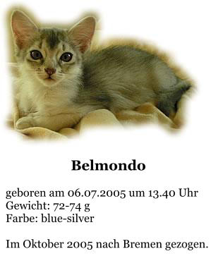 Belmondo    geboren am 06.07.2005 um 13.40 Uhr Gewicht: 72-74 g Farbe: blue-silver  Im Oktober 2005 nach Bremen gezogen.