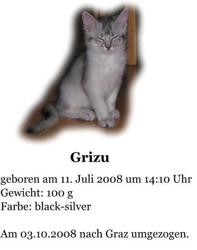Grizu   geboren am 11. Juli 2008 um 14:10 Uhr Gewicht: 100 g Farbe: black-silver  Am 03.10.2008 nach Graz umgezogen.