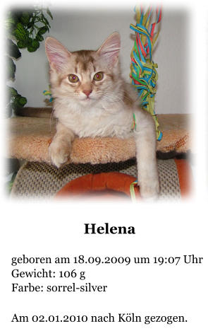 Helena  geboren am 18.09.2009 um 19:07 Uhr Gewicht: 106 g Farbe: sorrel-silver  Am 02.01.2010 nach Kln gezogen.