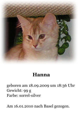 Hanna  geboren am 18.09.2009 um 18:36 Uhr Gewicht: 99 g Farbe: sorrel-silver  Am 16.01.2010 nach Basel gezogen.