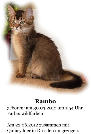 Rambo geboren: am 30.03.2012 um 1:54 Uhr Farbe: wildfarben  Am 22.06.2012 zusammen mit Quincy hier in Dresden umgezogen.