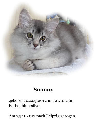 Sammy  geboren: 02.09.2012 um 21:10 Uhr Farbe: blue-silver  Am 25.11.2012 nach Leipzig gezogen.