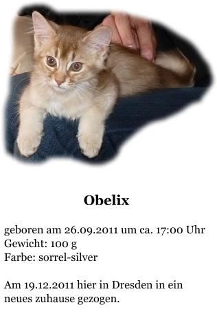 Obelix  geboren am 26.09.2011 um ca. 17:00 Uhr Gewicht: 100 g Farbe: sorrel-silver  Am 19.12.2011 hier in Dresden in ein neues zuhause gezogen.