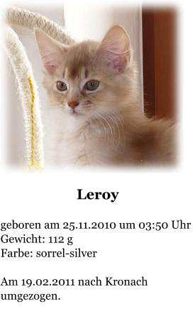 Leroy  geboren am 25.11.2010 um 03:50 Uhr Gewicht: 112 g Farbe: sorrel-silver  Am 19.02.2011 nach Kronach umgezogen.