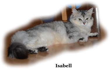 Isabell