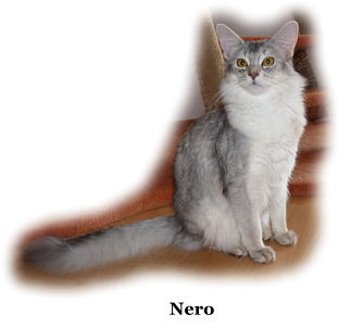 Nero